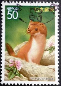 Colnect-1557-540-Siberian-Weasel-Mustela-sibirica-.jpg