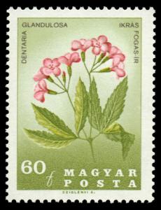 1812_Flowers_60.jpg