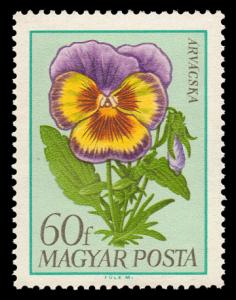 1927_Flowers_60.jpg