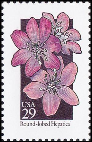 Colnect-5103-814-WildflowersRnd-Lobed-Hepatica.jpg