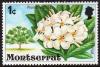 Colnect-3185-179-White-Frangipani.jpg