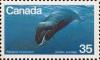 Colnect-4016-248-Bowhead-Whale-Balaena-mysticetus.jpg