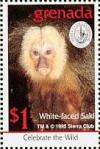 Colnect-4569-545-White-faced-saki.jpg