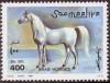 Colnect-5148-132-White-Arab-horse.jpg