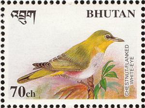 Colnect-1412-481-Chestnut-flanked-White-eye-Zosterops-erythropleura.jpg