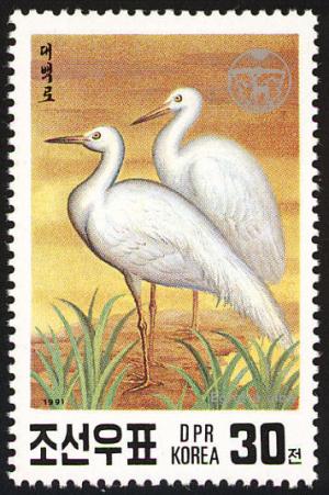 Colnect-1614-812-Great-White-Egret-Ardea-alba.jpg