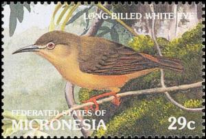 Colnect-3137-395-Long-billed-White-eye-Rukia-longirostra.jpg