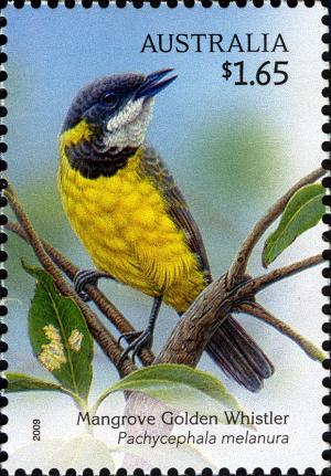 Colnect-666-305-Mangrove-Golden-Whistler-Pachycephala-melanura.jpg