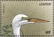 Colnect-1725-645-Great-White-Egret-Ardea-alba.jpg