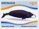 Colnect-3014-874-Bowhead-Whale-Balaena-mysticetus.jpg