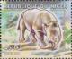 Colnect-5405-159-White-rhinoceros.jpg