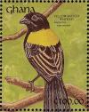 Colnect-1459-794-Yellow-mantled-Widowbird%C2%A0Euplectes-macrourus.jpg