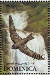 Colnect-1748-060-Black-Swift-Neophoecetes-niger.jpg