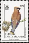 Colnect-1764-377-Cedar-Waxwing-Bombycilla-cedrorum.jpg