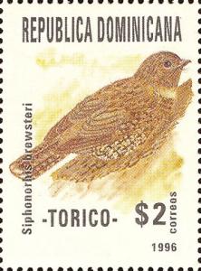 Colnect-3152-323-Least-Poorwill-Siphonorhis-brewsteri.jpg