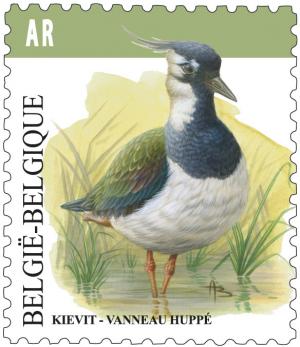 Colnect-1777-864-Northern-Lapwing-nbsp-Vanellus-vanellus.jpg