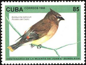 Colnect-3570-252-Cedar-Waxwing-Bombycilla-cedrorum.jpg