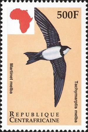 Colnect-4383-427-Alpine-Swift-Tachymarptis-melba.jpg