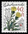 Colnect-4004-369-Alpine-Hawkweed-Hieracium-alpinum.jpg