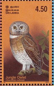 Colnect-2543-489-Jungle-Owlet-Glaucidium-radiatum.jpg