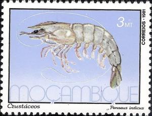 Colnect-1116-902-Indian-Prawn-Fenneropenaeus-indicus.jpg