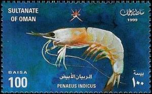 Colnect-1899-639-Indian-Prawn-Fenneropenaeus-indicus.jpg