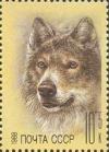 Colnect-1419-180-Wolf-Canis-lupus.jpg