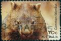 Colnect-2778-809-Common-Wombat-Vombatus-ursinus.jpg