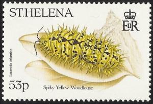 Colnect-4468-884-Spiky-Yellow-Woodlouse-Laureola-atlantica.jpg