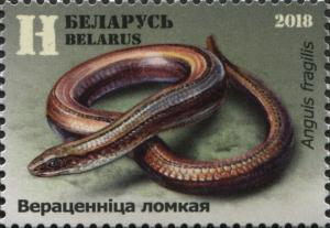 Colnect-5817-265-Slow-Worm-Anguis-fragilis.jpg