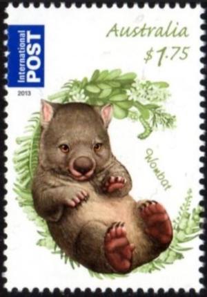 Colnect-6300-442-Common-Wombat-Vombatus-ursinus.jpg