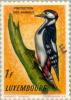 Colnect-133-988-Great-Spotted-Woodpecker-Dendrocopos-major.jpg