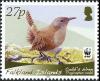 Colnect-1674-699-Cobb-s-Wren-Troglodytes-cobbi.jpg