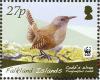 Colnect-1674-703-Cobb-s-Wren-Troglodytes-cobbi.jpg