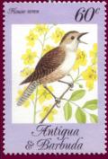 Colnect-1452-469-House-Wren-Troglodytes-aedon.jpg