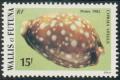 Colnect-897-409-Calf-Cowrie-Cypraea-vitellus.jpg