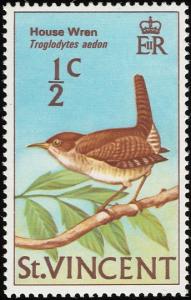 Colnect-1754-342-House-Wren-Troglodytes-aedon.jpg