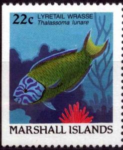 Colnect-4736-560-Lyretail-Wrasse-Thalassoma-lunare.jpg