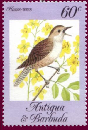 Colnect-1452-469-House-Wren-Troglodytes-aedon.jpg