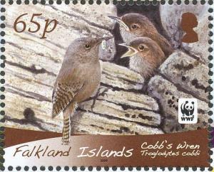 Colnect-1674-704-Cobb-s-Wren-Troglodytes-cobbi.jpg