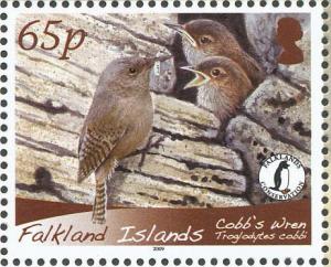 Colnect-1674-709-Cobb-s-Wren-Troglodytes-cobbi.jpg