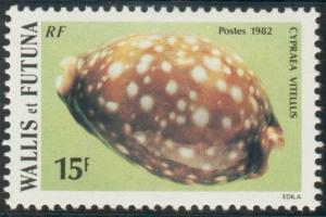 Colnect-897-409-Calf-Cowrie-Cypraea-vitellus.jpg