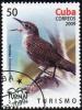 Colnect-1761-445-Zapata-Wren-Ferminia-cerverai.jpg