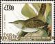 Colnect-4053-224-House-Wren-Troglodytes-aedon.jpg