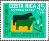 Colnect-5521-149-Cows-meat-cheesemilk.jpg