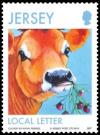 Colnect-1725-519-Jersey-Cow-Bos-primigenius-taurus.jpg