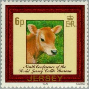 Colnect-126-947-Jersey-Cow-Bos-primigenius-taurus.jpg