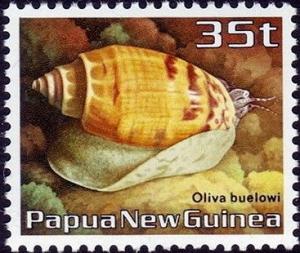 Colnect-2403-185-B-uuml-low--s-Olive-Oliva-buelowi.jpg