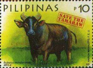 Colnect-2850-345-Tamaraw-Bubalus-mindorensis.jpg