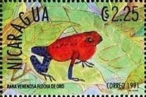 Colnect-3478-100-Golden-arrow-poison-frog-rana-venenosa.jpg